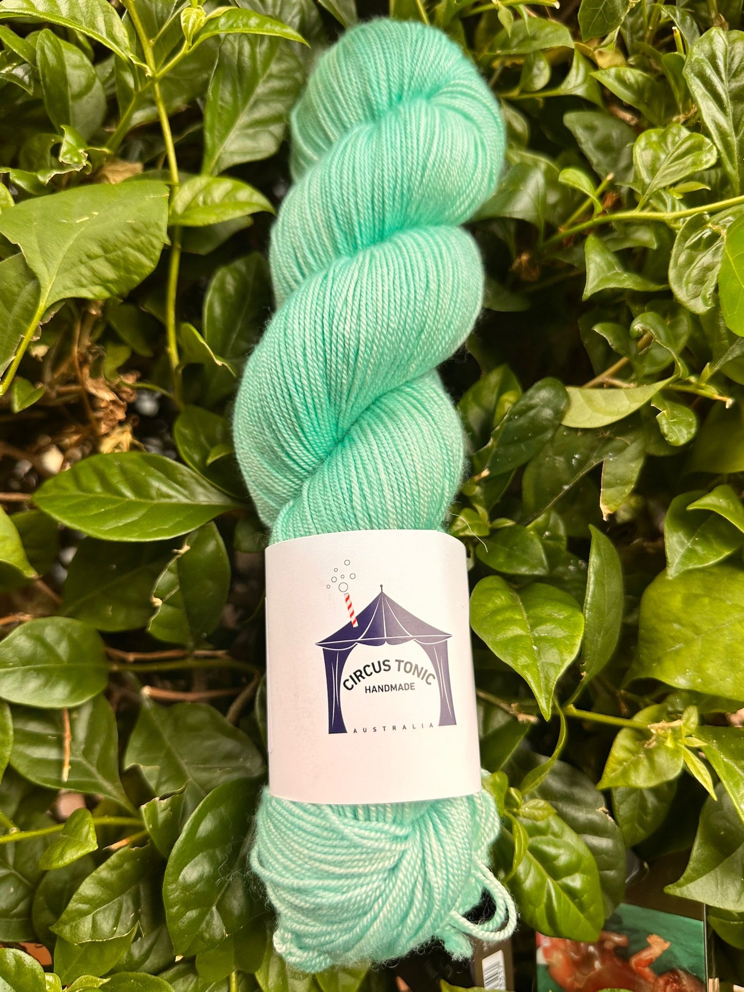 Circus Tonic Handmade Soiree