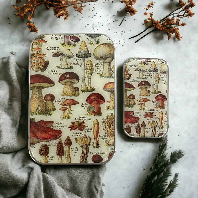 Firefly Notes Notions Tins
