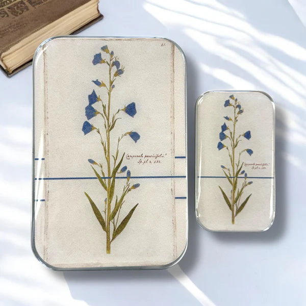 Firefly Notes Notions Tins