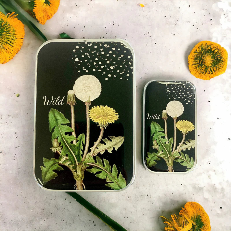Firefly Notes Notions Tins