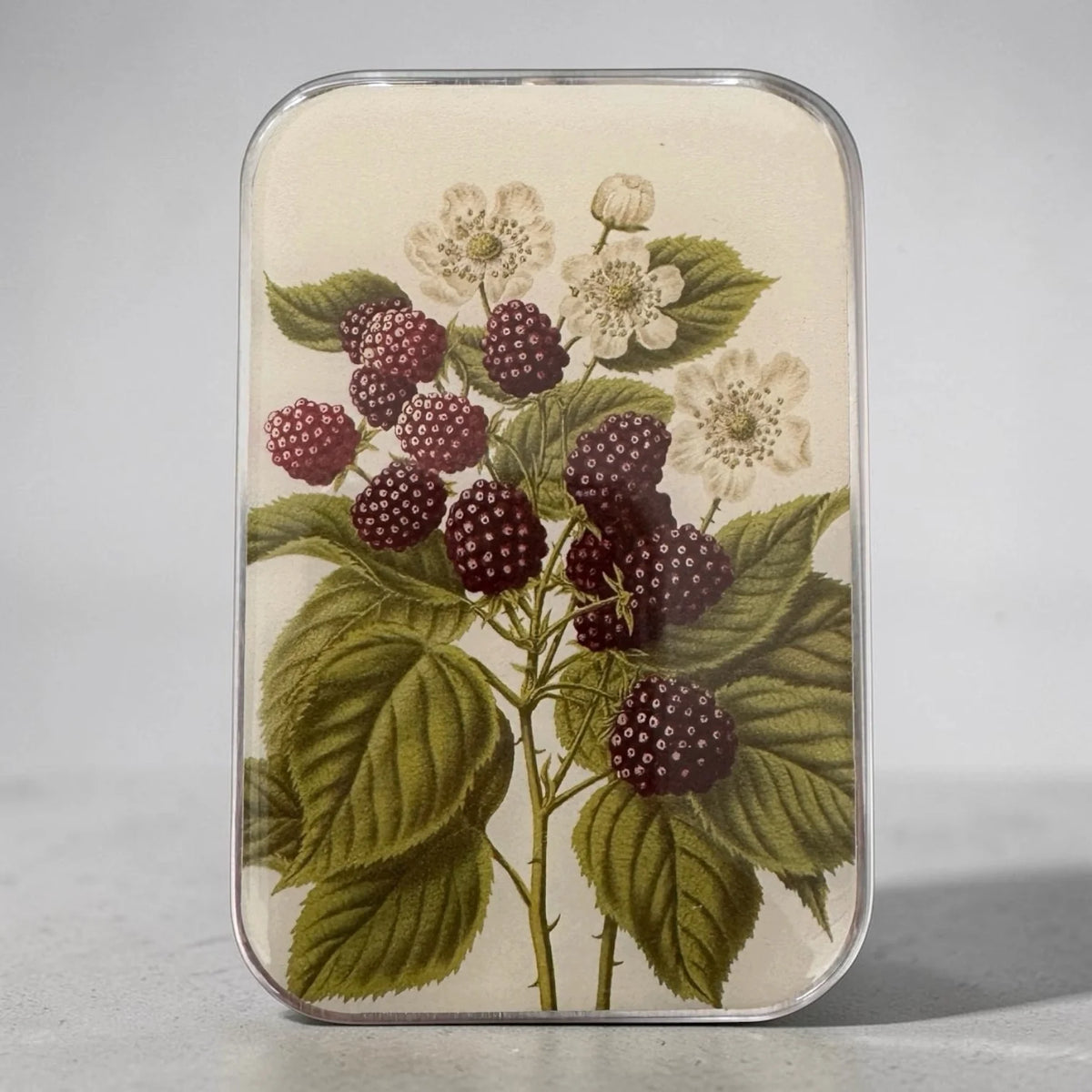 Firefly Notes Notions Tins