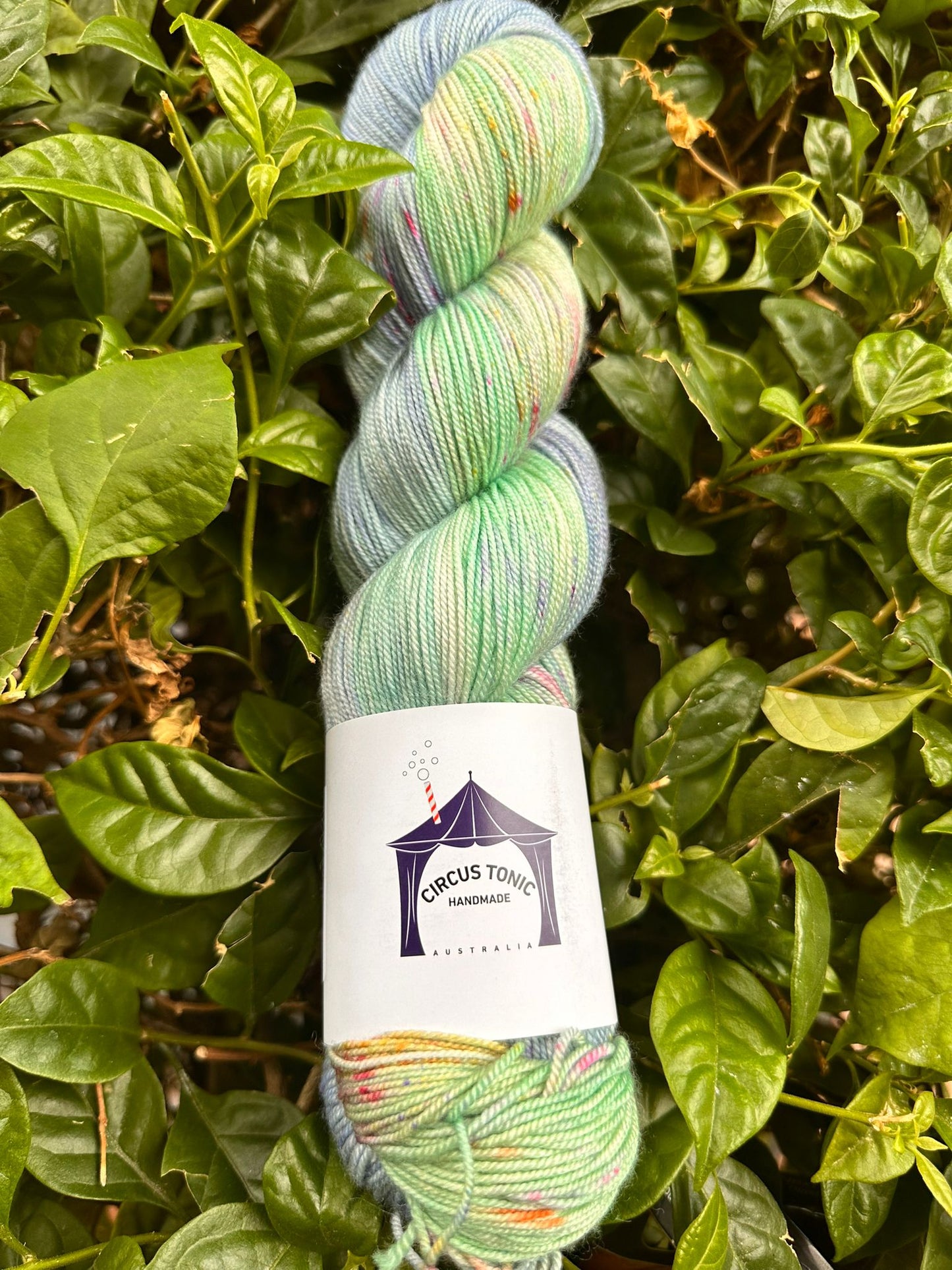 Circus Tonic Handmade Soiree