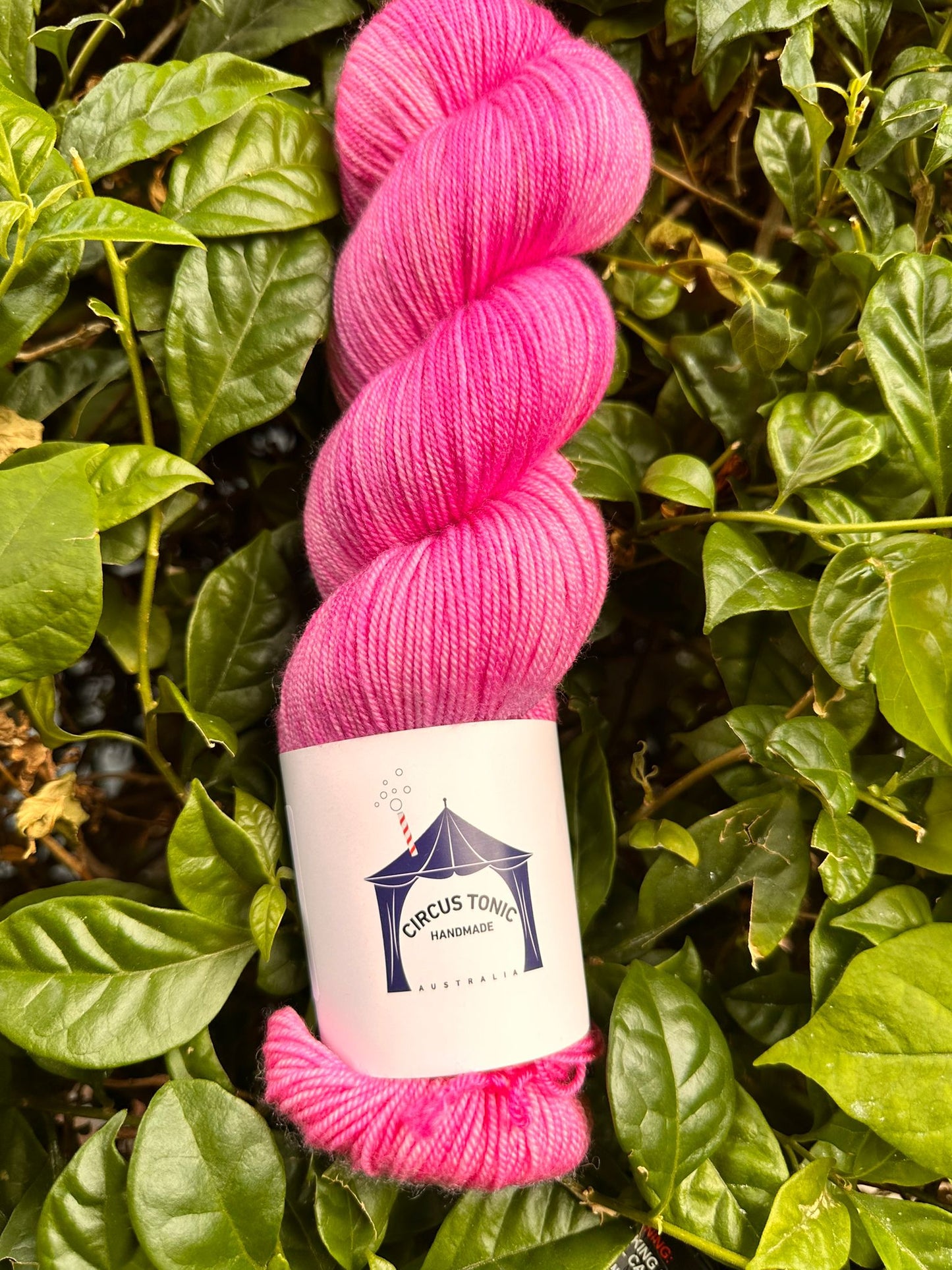 Circus Tonic Handmade Soiree