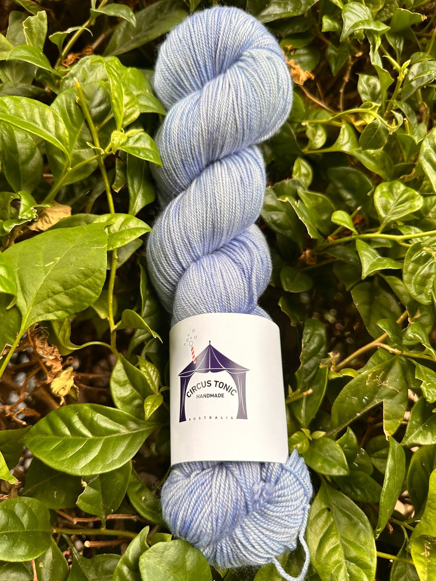 Circus Tonic Handmade Soiree