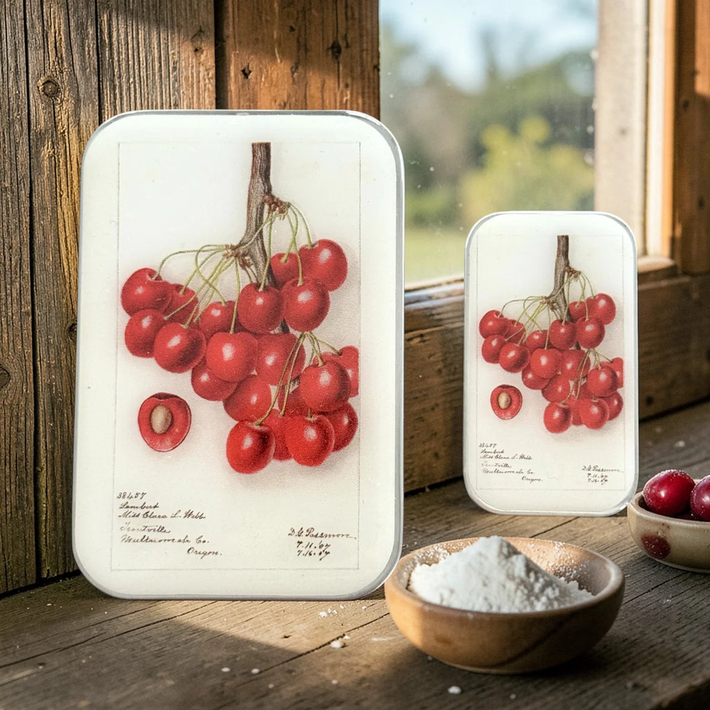 Firefly Notes Notions Tins