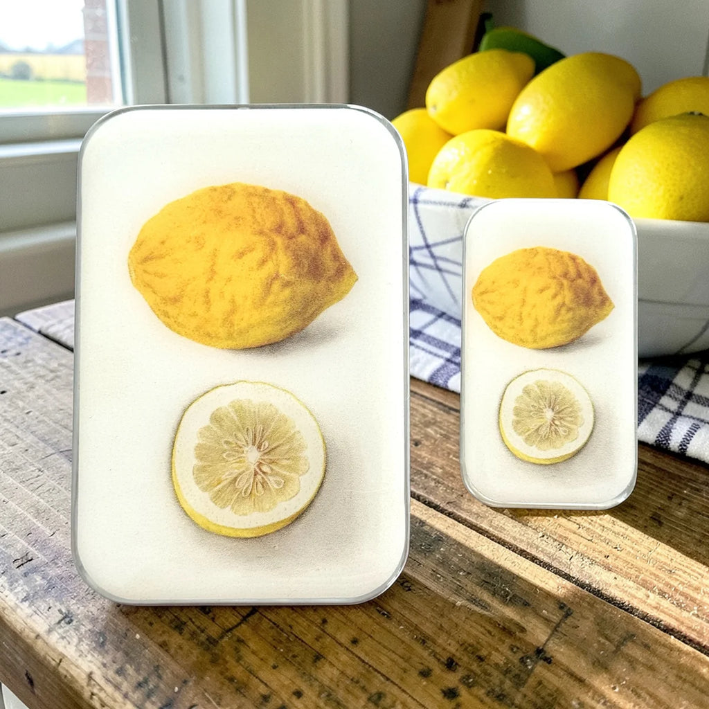 Firefly Notes Notions Tins