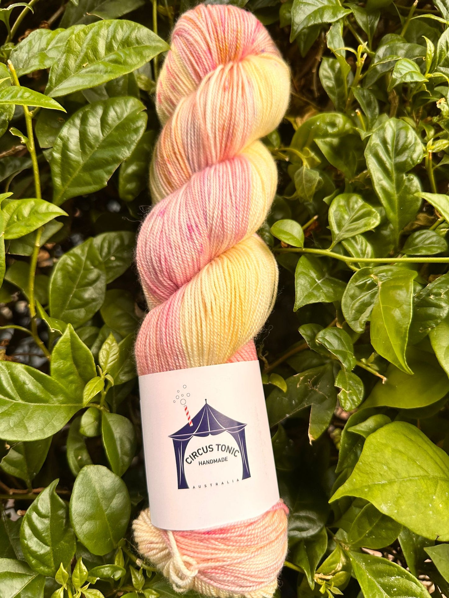 Circus Tonic Handmade Soiree