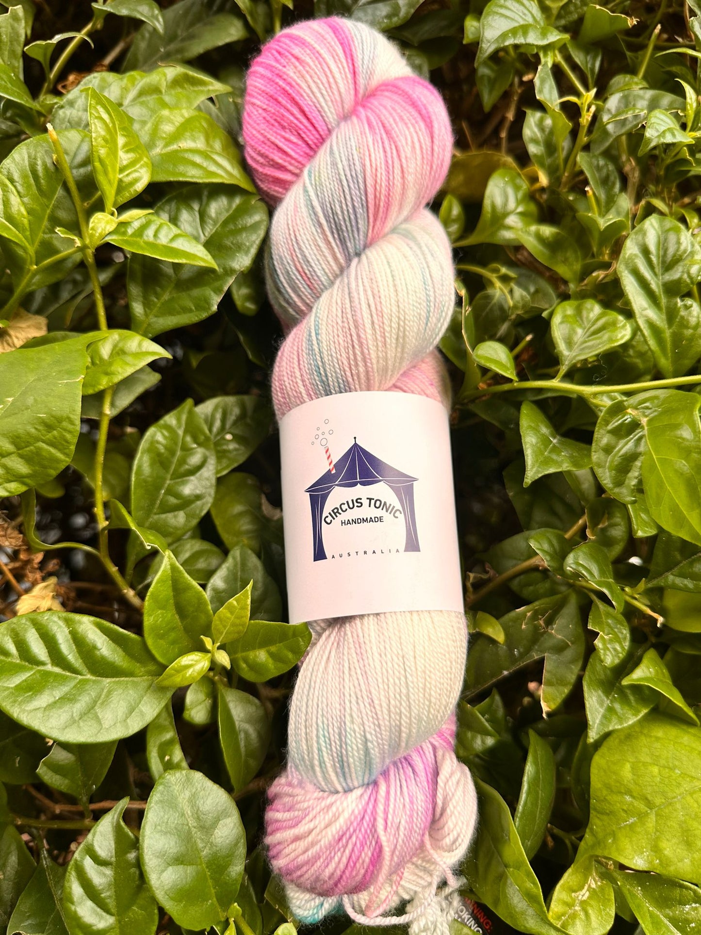 Circus Tonic Handmade Soiree