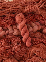 Big Little Yarn Co Trusty Sock Yarn