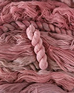 Big Little Yarn Co Trusty Sock Yarn