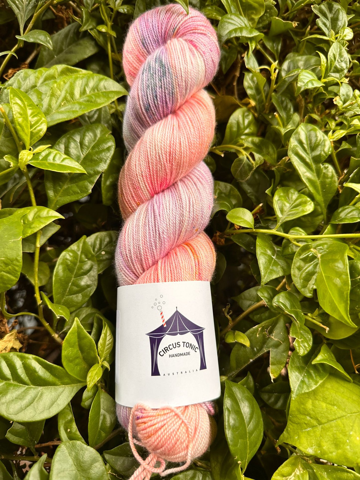 Circus Tonic Handmade Soiree