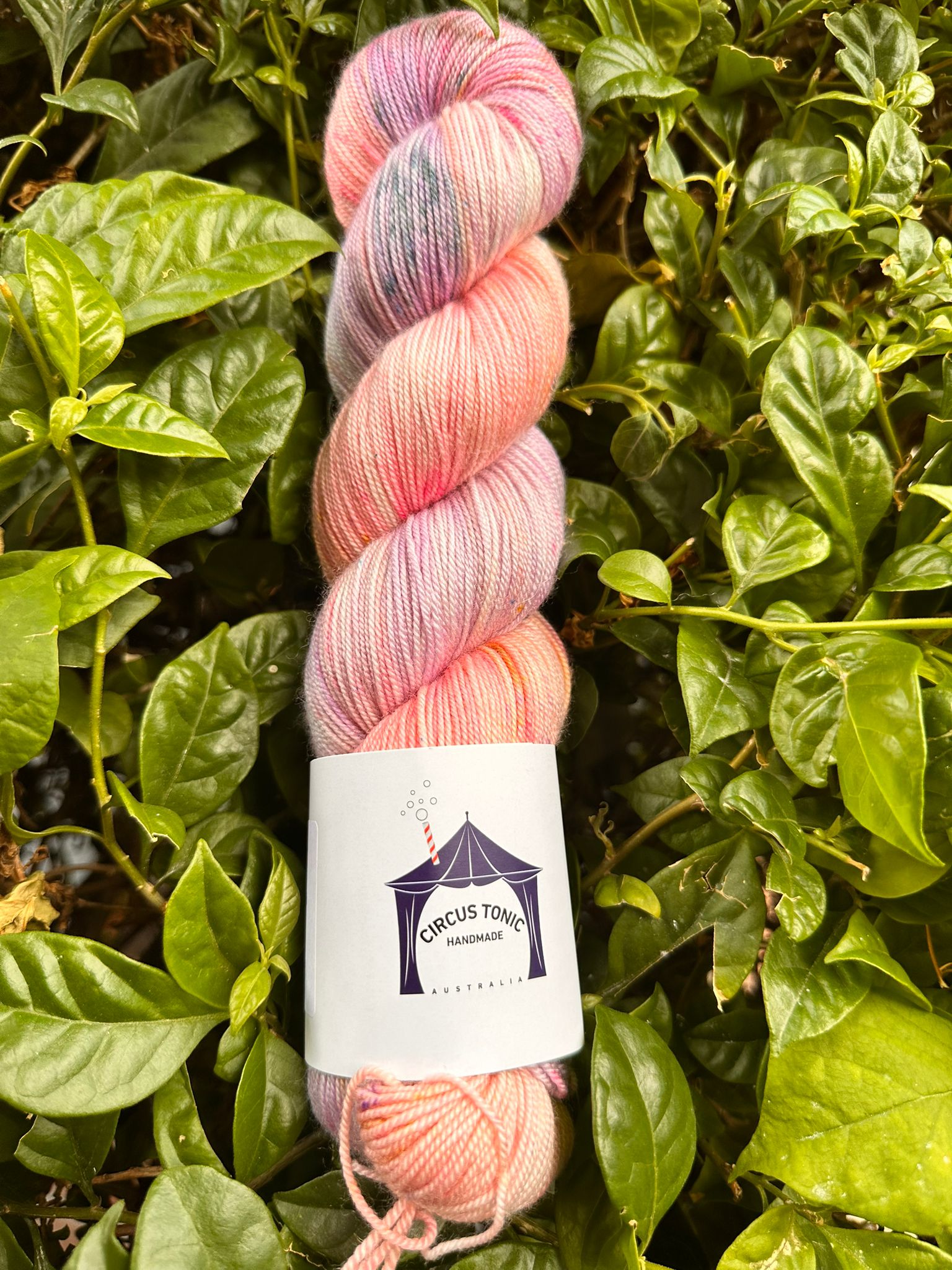 Circus Tonic Handmade Soiree