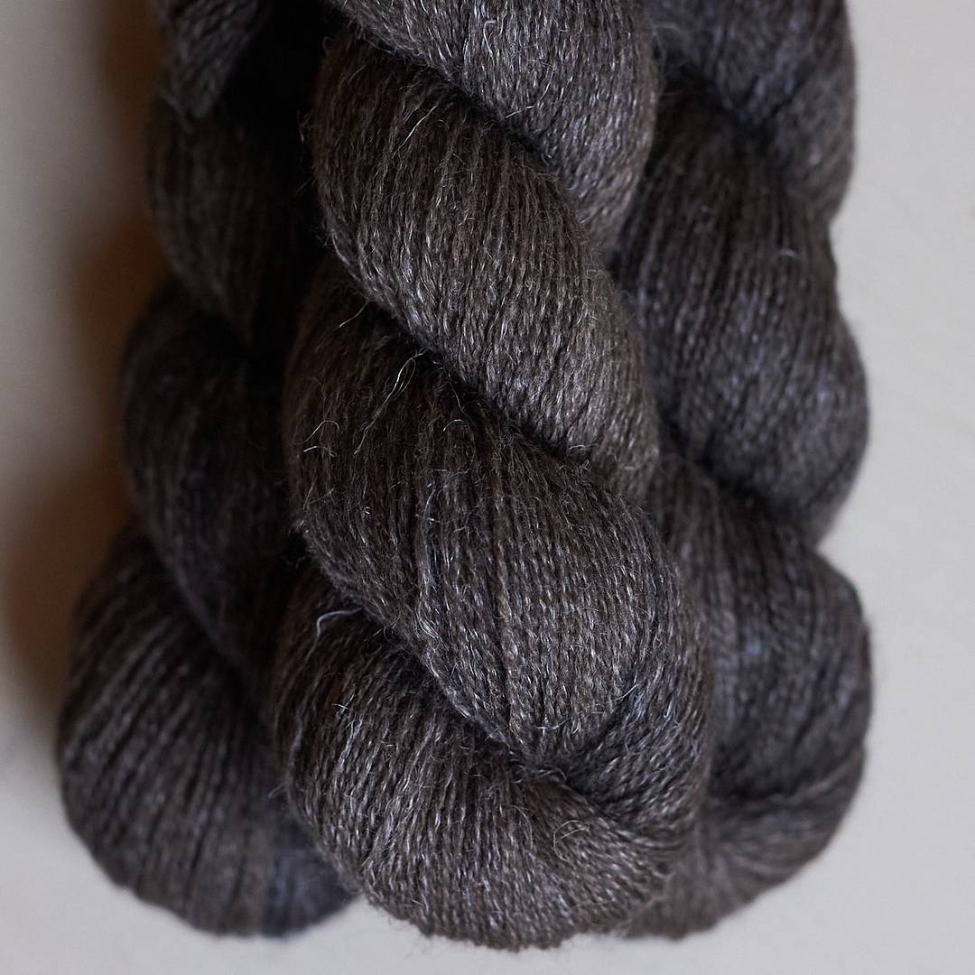 Lanivendole Aestiva