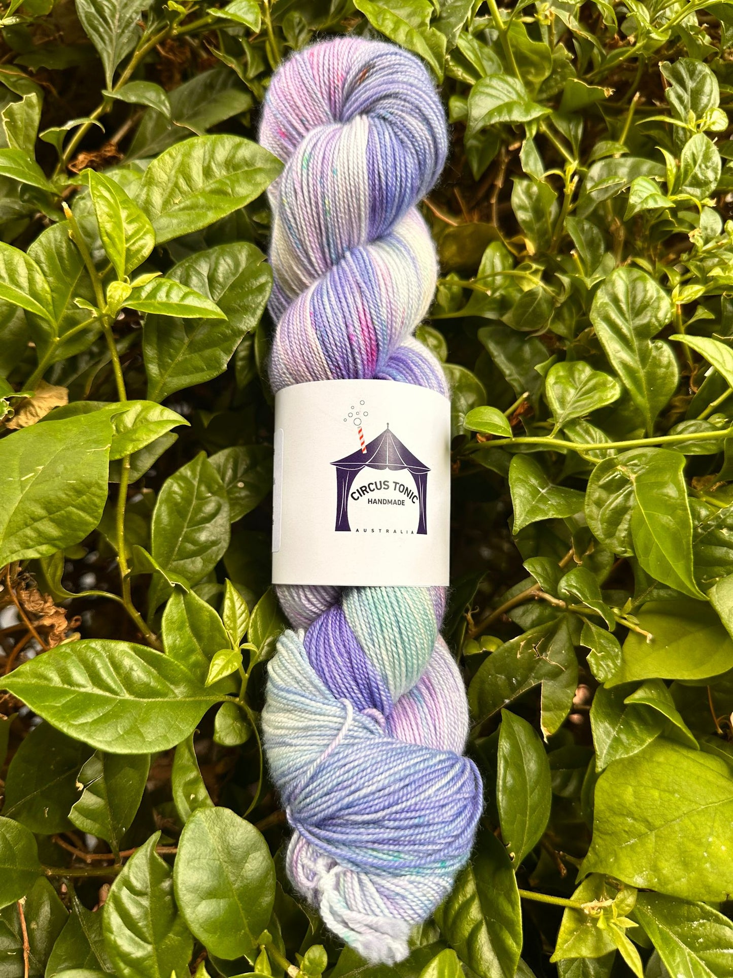 Circus Tonic Handmade Soiree