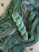 Big Little Yarn Co Trusty Sock Yarn