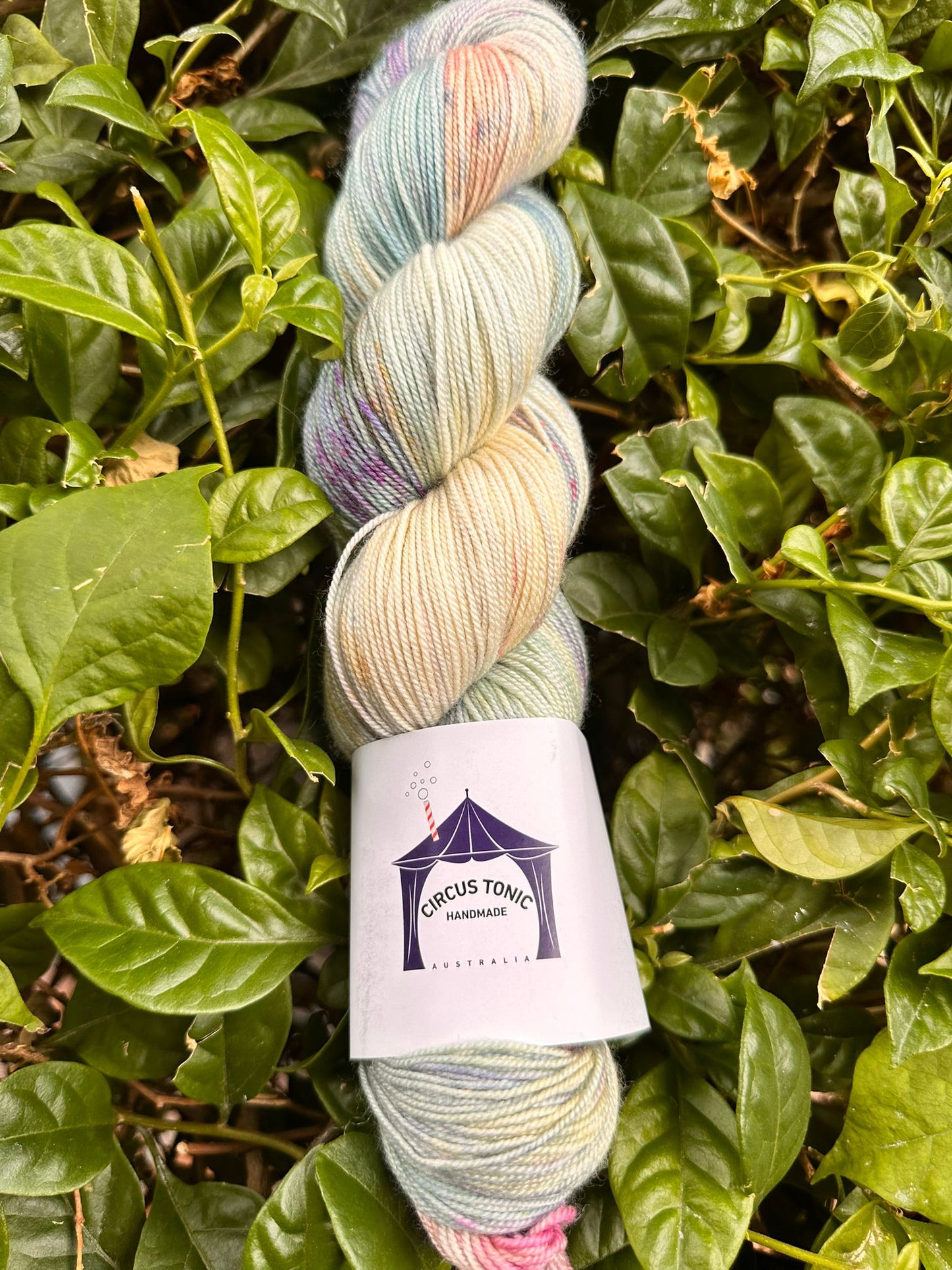 Circus Tonic Handmade Soiree