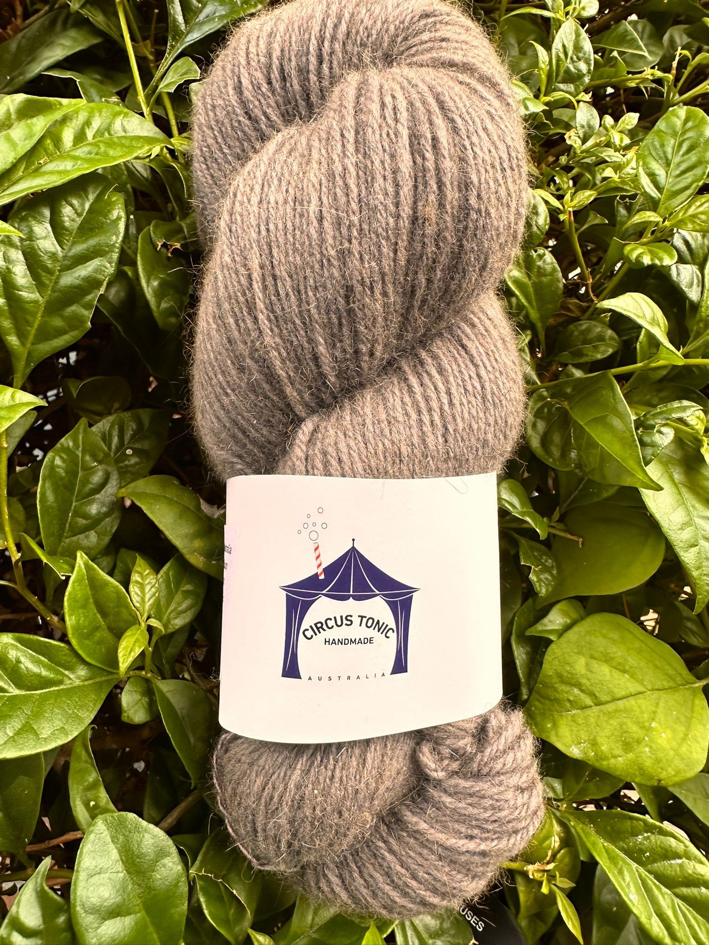 Circus Tonic Merino Possum Woollen Spun